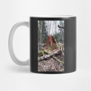 Burnaby park Mug